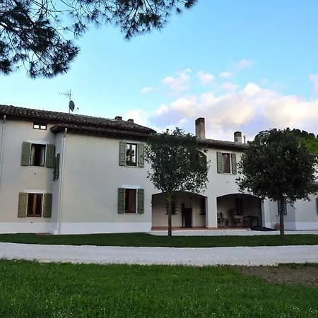 Fontepino