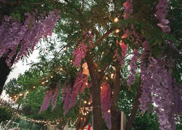 Fontepino Ξενοδοχείο με διαμερίσματα